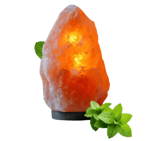 Pink Salt Lamp